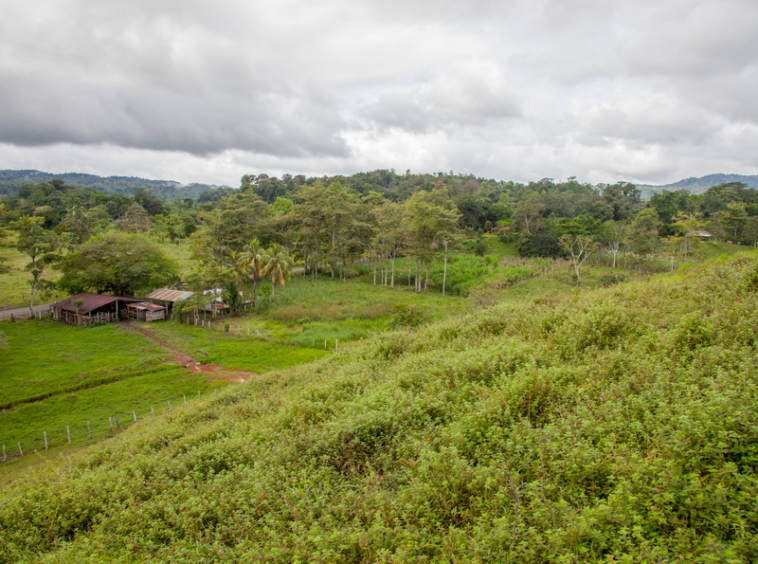 osa-peninsula-oceanview-ranch-for-sale