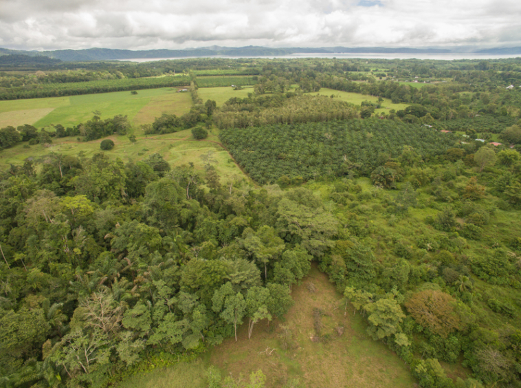 osa-peninsula-oceanview-ranch-for-sale