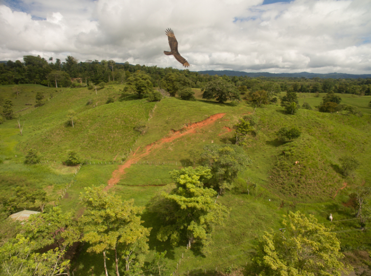 osa-peninsula-oceanview-ranch-for-sale