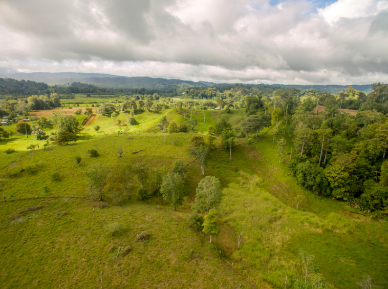 osa-peninsula-oceanview-ranch-for-sale