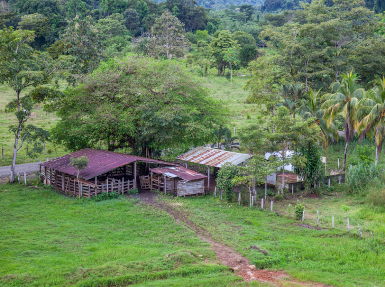 osa-peninsula-oceanview-ranch-for-sale