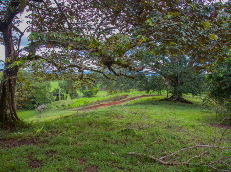 osa-peninsula-oceanview-ranch-for-sale
