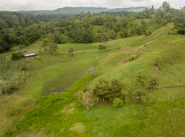 osa-peninsula-oceanview-ranch-for-sale