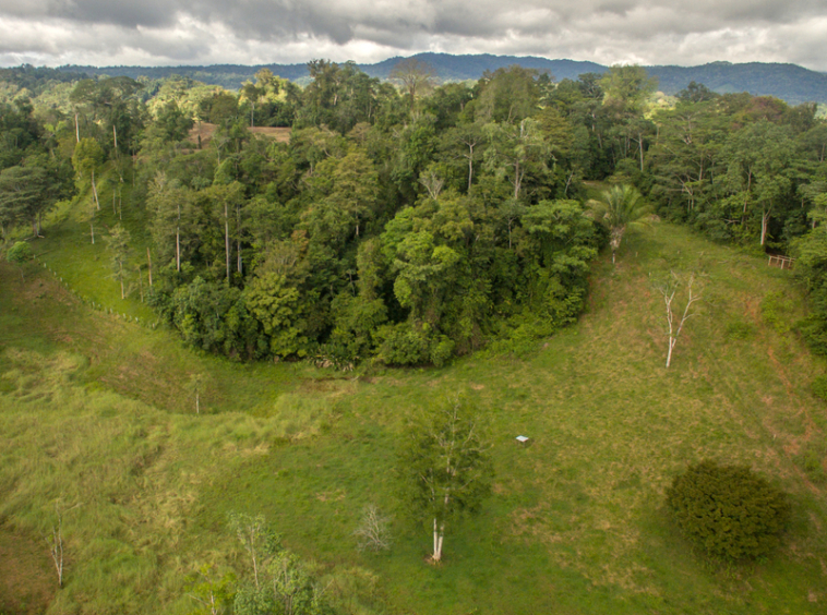osa-peninsula-oceanview-ranch-for-sale