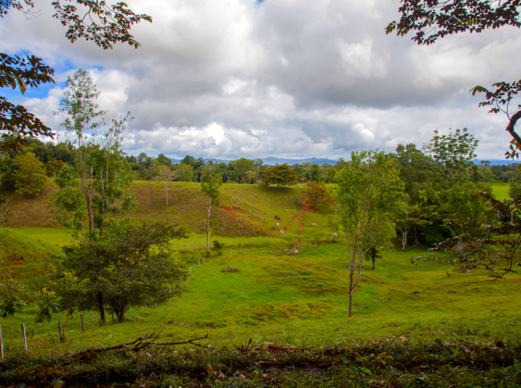 osa-peninsula-oceanview-ranch-for-sale