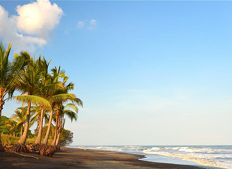 panama-beachfront-surf-resort-and-hostel