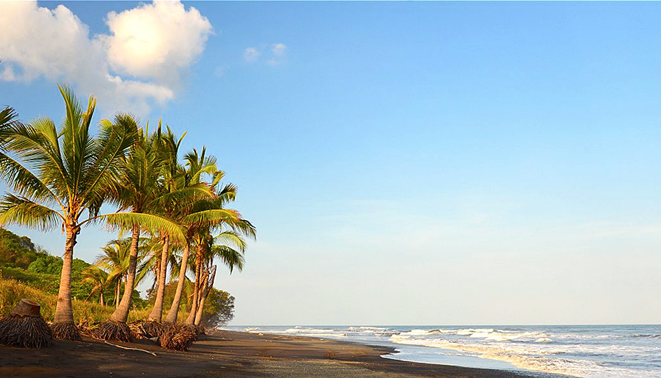 panama-beachfront-surf-resort-and-hostel