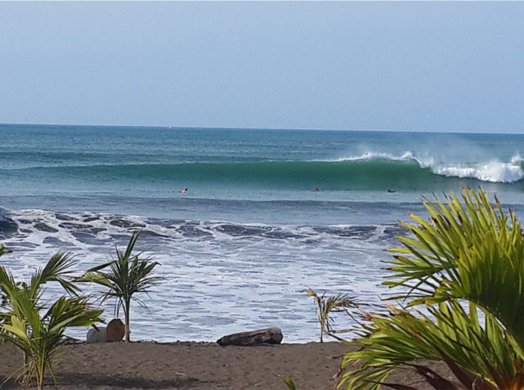panama-beachfront-surf-resort-and-hostel