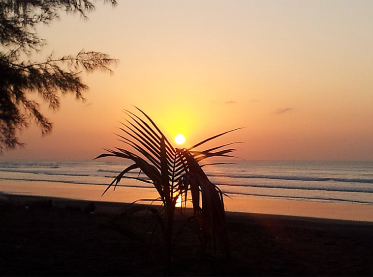 panama-beachfront-surf-resort-and-hostel
