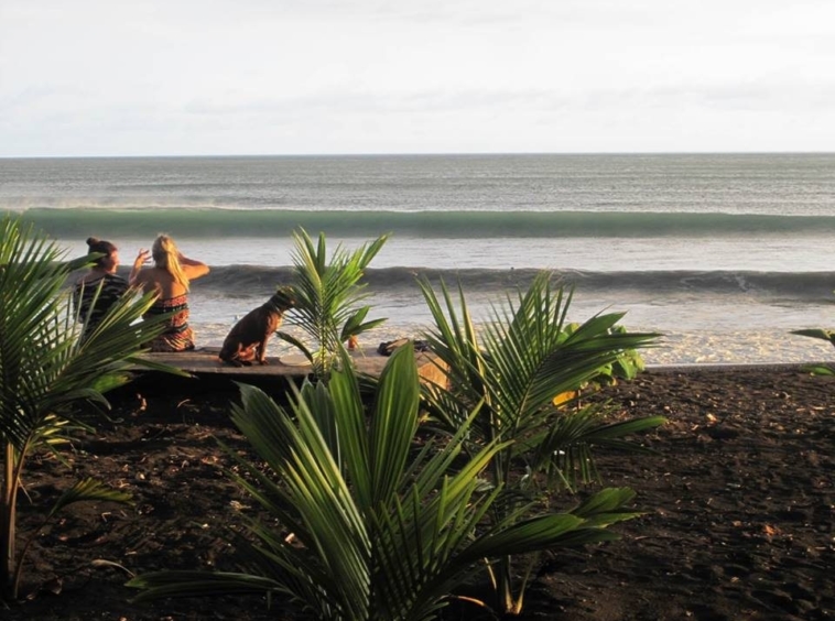 panama-beachfront-surf-resort