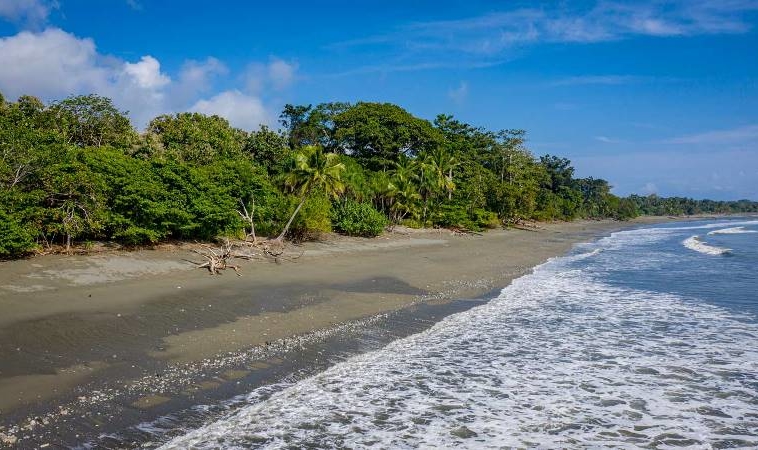 tamales-osa-peninsula-beachfront-land