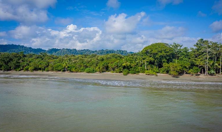 tamales-osa-peninsula-beachfront-land