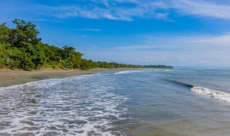 tamales-osa-peninsula-beachfront-land