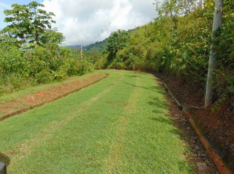 tranquil-ocean-view-lot-in-ojochal