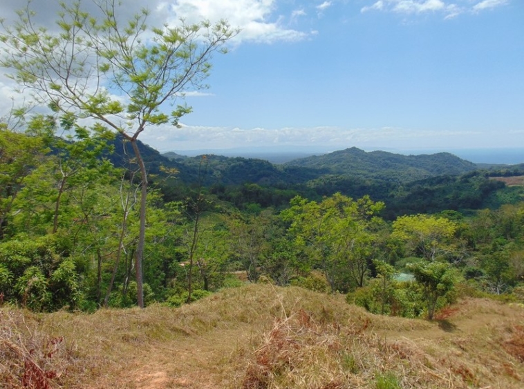 tranquil-ocean-view-lot-in-ojochal