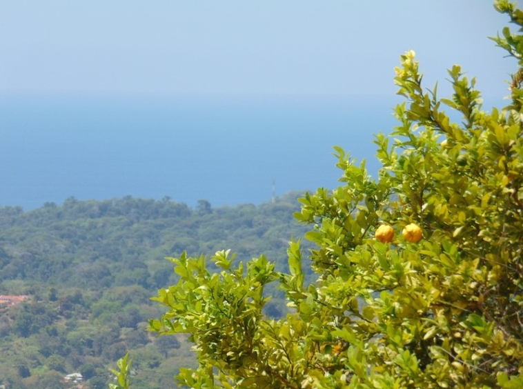 tranquil-ocean-view-lot-in-ojochal
