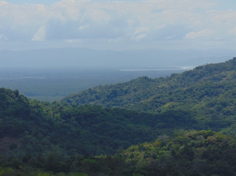 tranquil-ocean-view-lot-in-ojochal