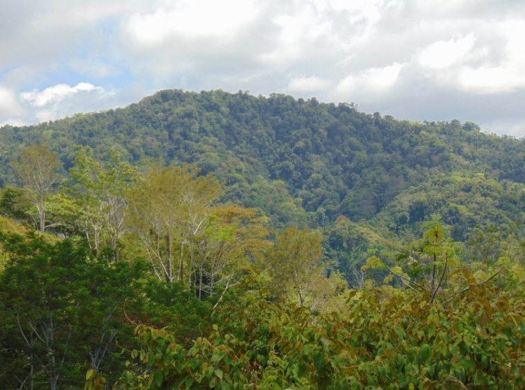 tranquil-ocean-view-lot-in-ojochal