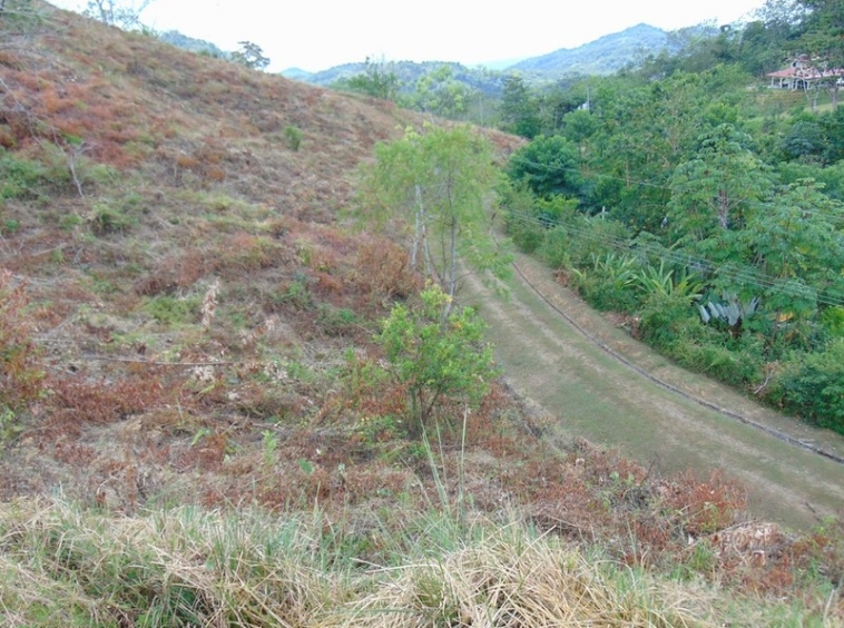 tranquil-ocean-view-lot-in-ojochal