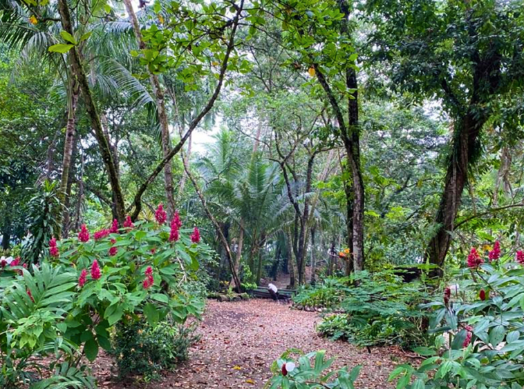 playa-zancudo-lot-for-sale