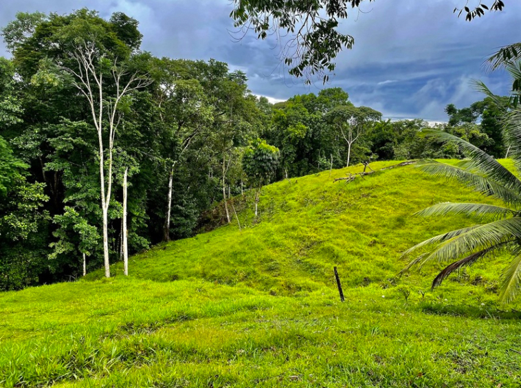 finca-cuervito-pavones-costa-rica-for-sale