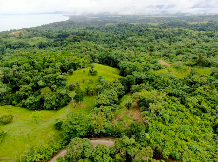 finca-cuervito-pavones-costa-rica-for-sale