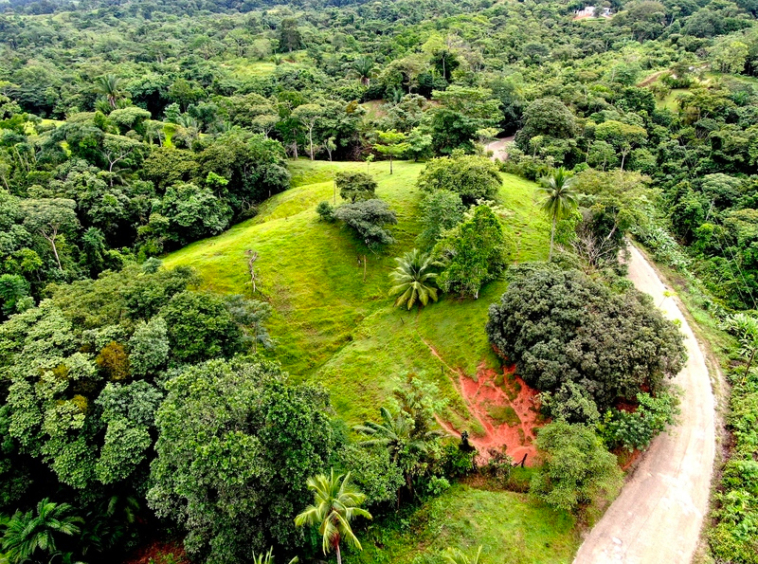 finca-cuervito-pavones-costa-rica-for-sale