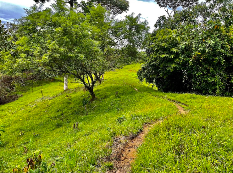 finca-cuervito-pavones-costa-rica-for-sale