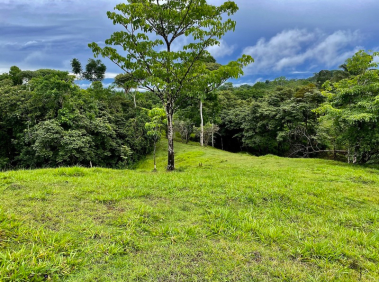 finca-cuervito-pavones-costa-rica-for-sale