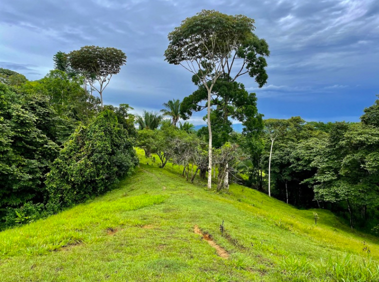 finca-cuervito-pavones-costa-rica-for-sale