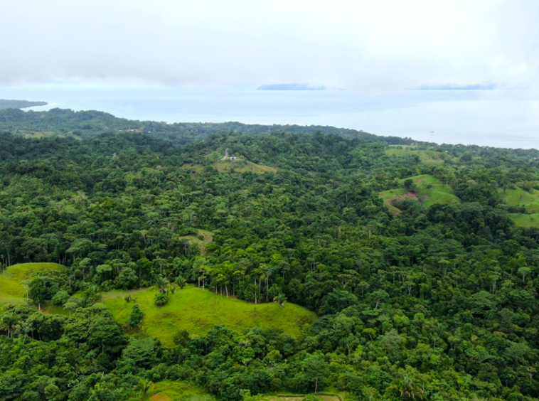finca-cuervito-pavones-costa-rica-for-sale