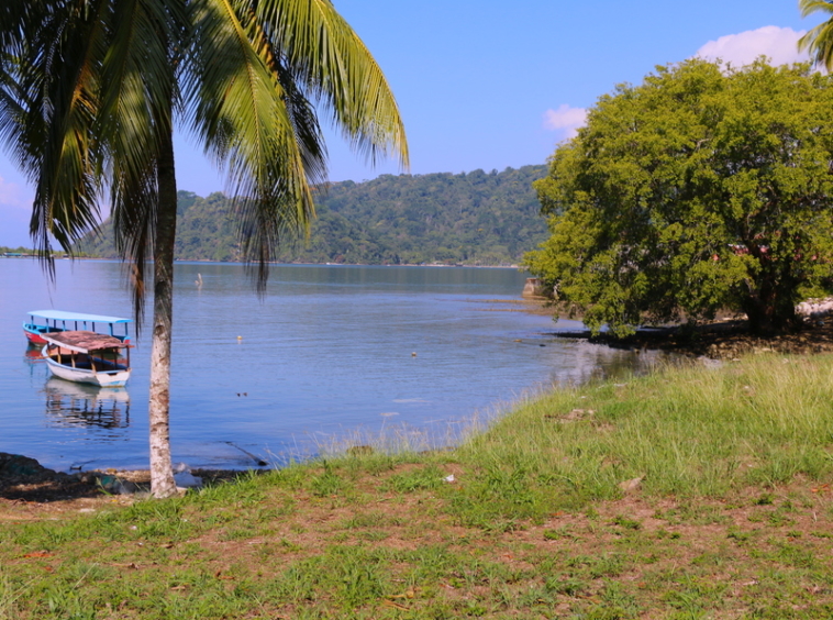 golfito-waterfront-commercial-parcel-marina