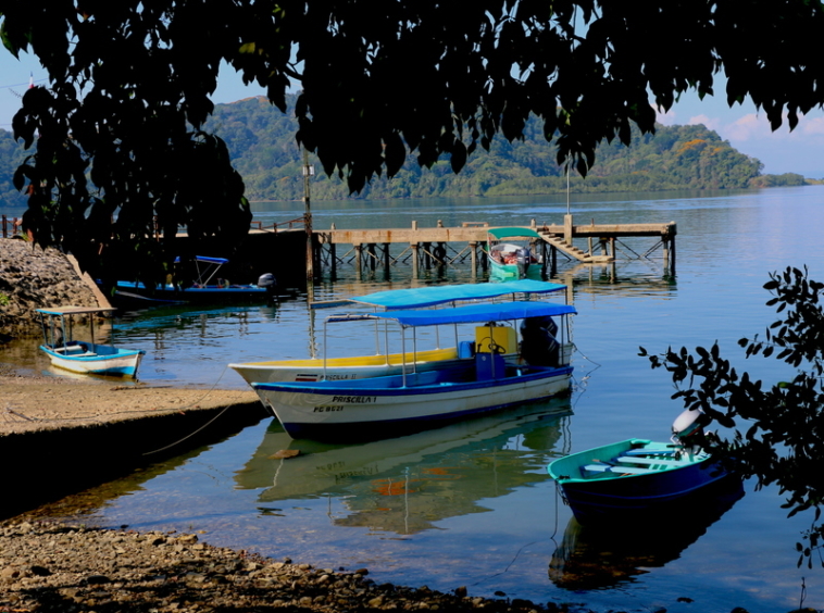 golfito-waterfront-commercial-parcel-marina