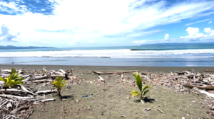 playa-zancudo-beach-lot-for-sale