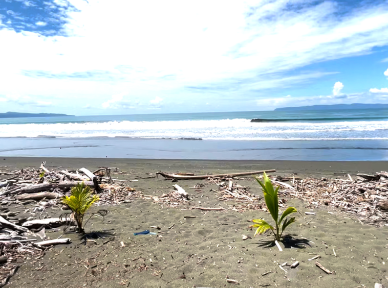 playa-zancudo-beach-lot-for-sale