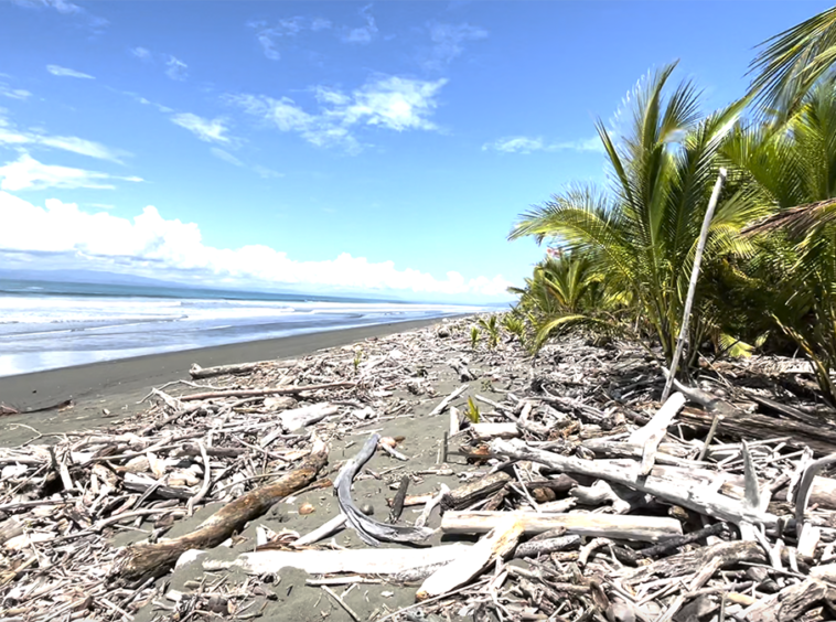 playa-zancudo-beach-lot-for-sale