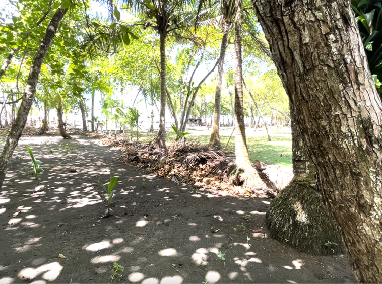 playa-zancudo-beach-lot-for-sale