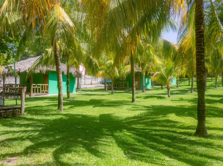 surf-hotel-and-restaurant-for-sale