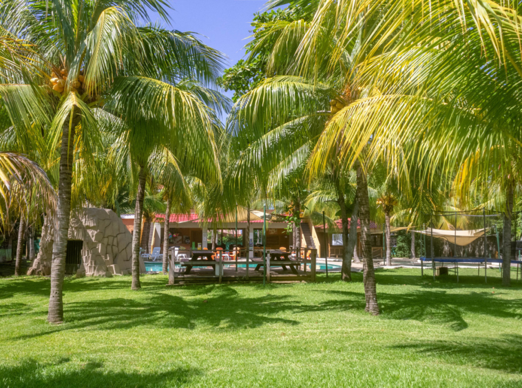 surf-hotel-and-restaurant-for-sale