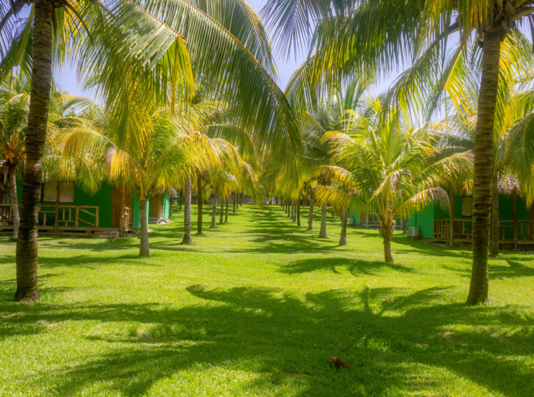 surf-hotel-and-restaurant-for-sale