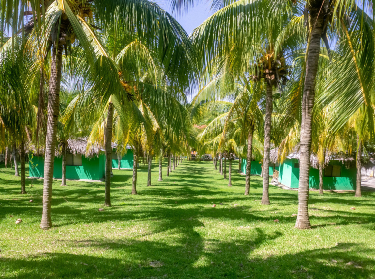 surf-hotel-and-restaurant-for-sale