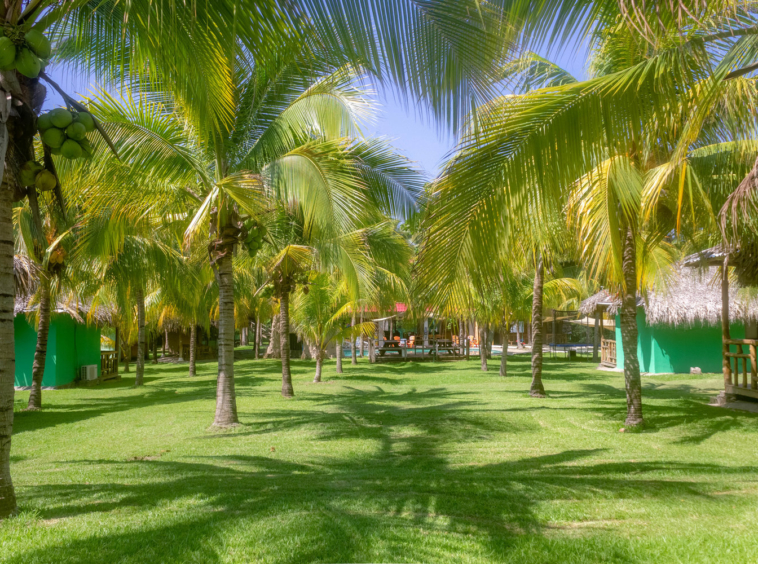 surf-hotel-and-restaurant-for-sale