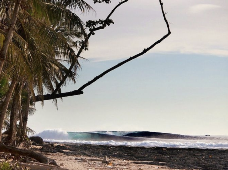mentawai-surf-resort-camp-for-sale