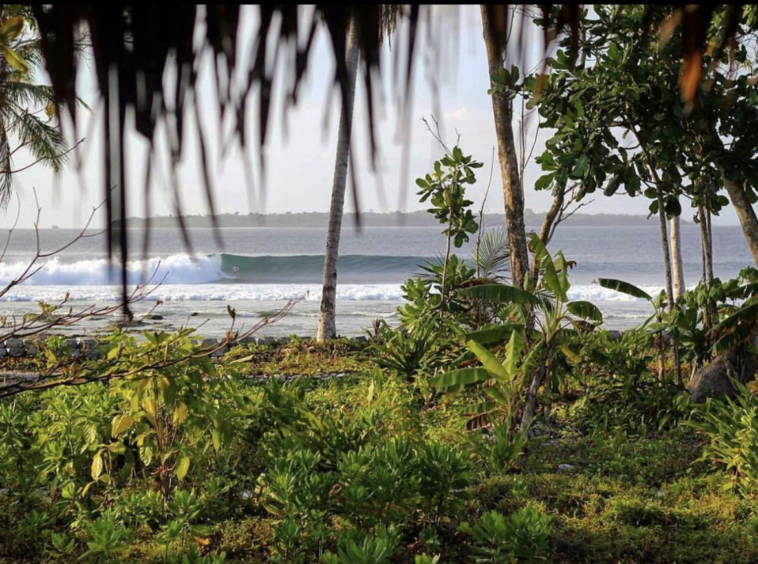 mentawai-surf-resort-camp-for-sale