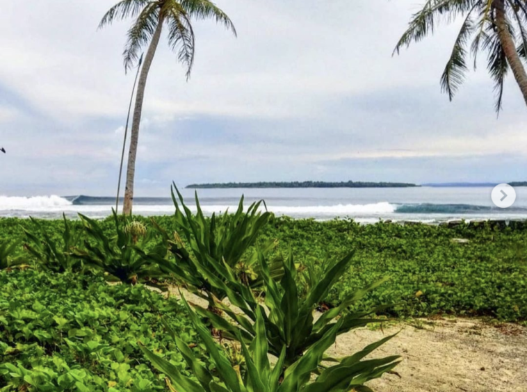 mentawai-surf-resort-camp-for-sale