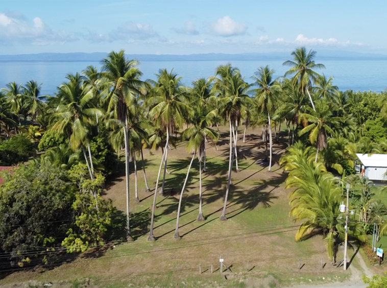 playa-zancudo-wide-beach-lot-for-sale