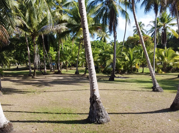 playa-zancudo-wide-beach-lot-for-sale