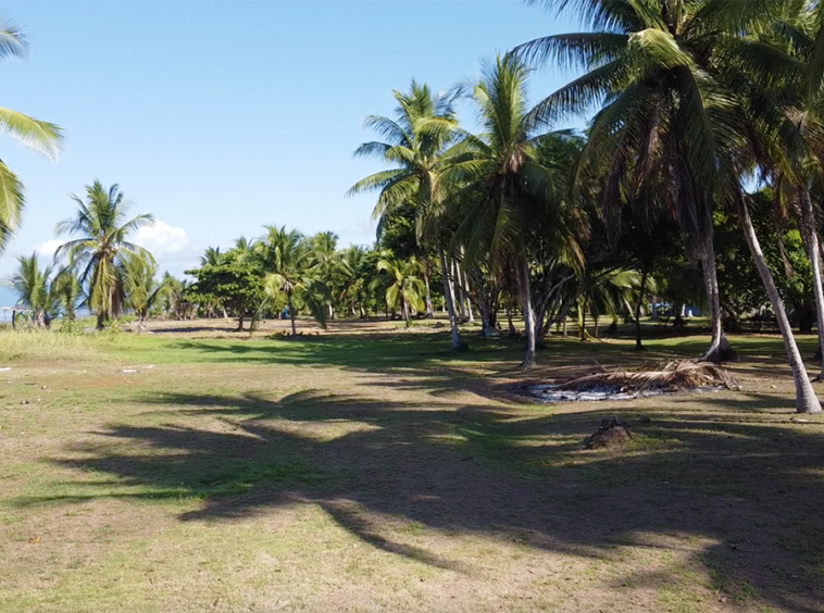 playa-zancudo-wide-beach-lot-for-sale