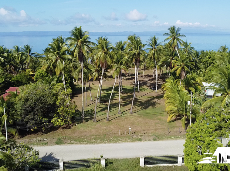 playa-zancudo-wide-beach-lot-for-sale