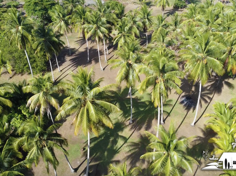 playa-zancudo-wide-beach-lot-for-sale